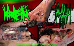 Insalubridade Mórbida Acéfala Temporal